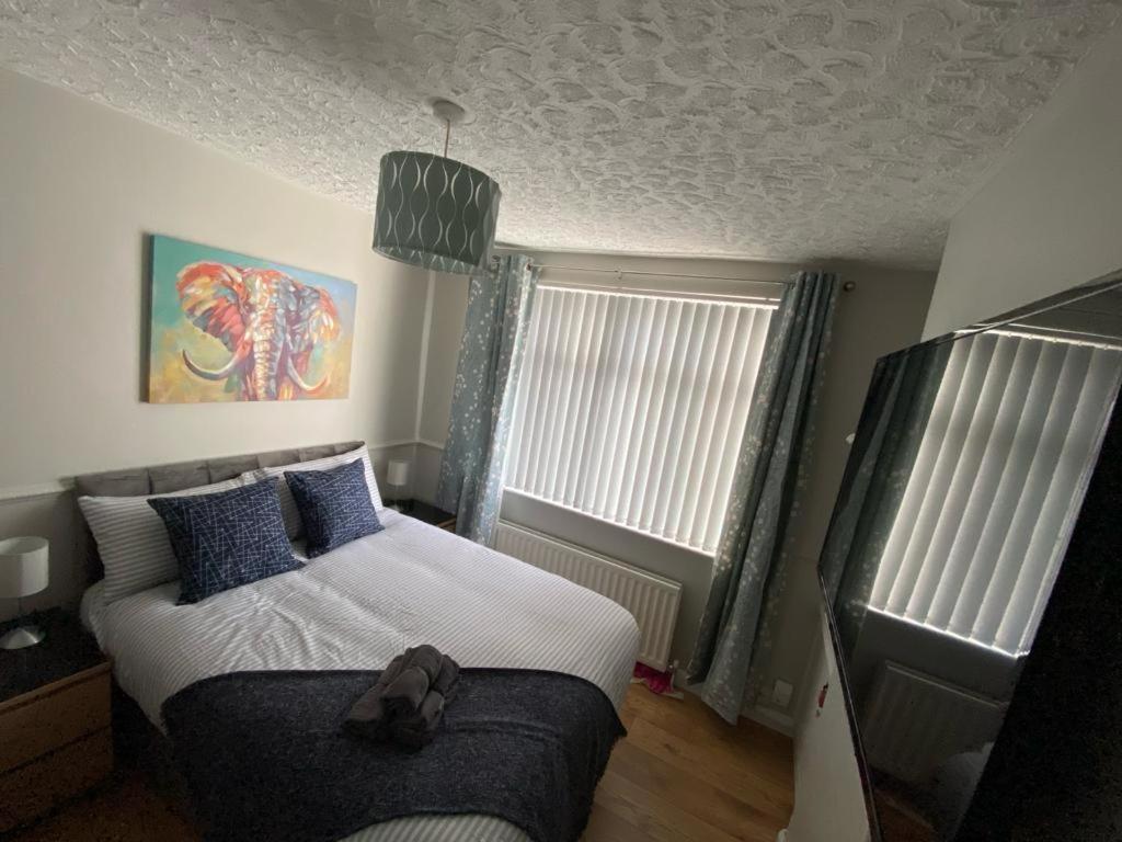 Connswater Town House Belfast Apartment Luaran gambar